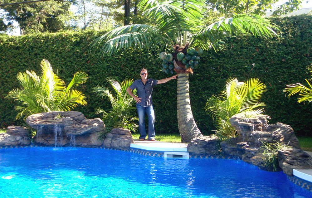 Combo pool waterfall and palm tree