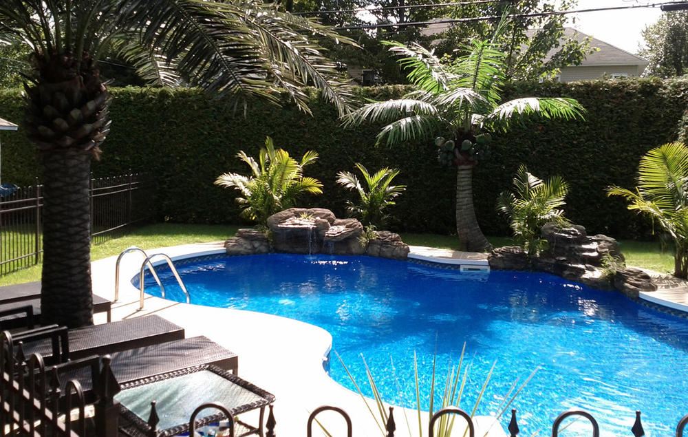 Pool waterfall and palm tree