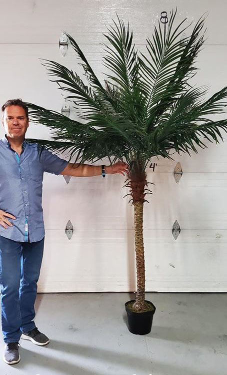 Artificial Phoenix palm tree 7 feet