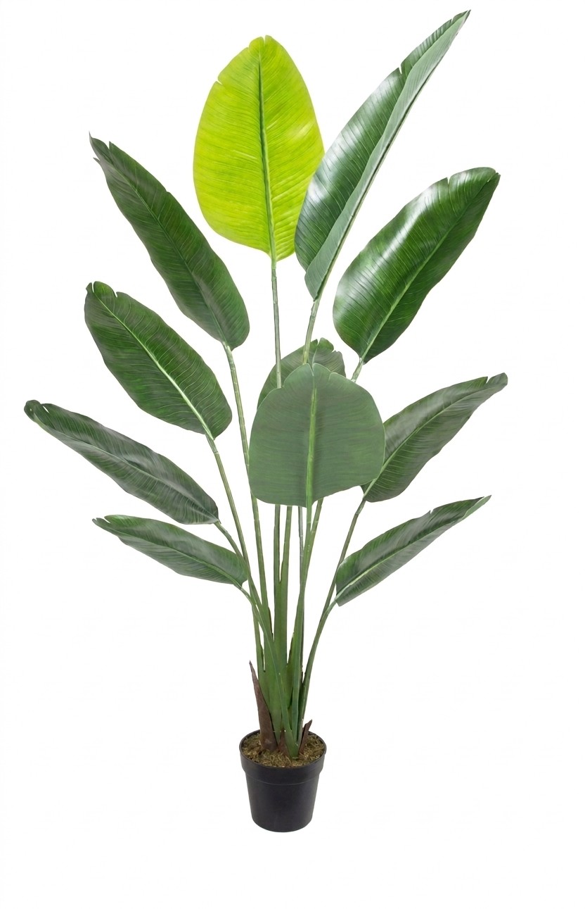 Oiseau du paradis artificiel extérieur 70