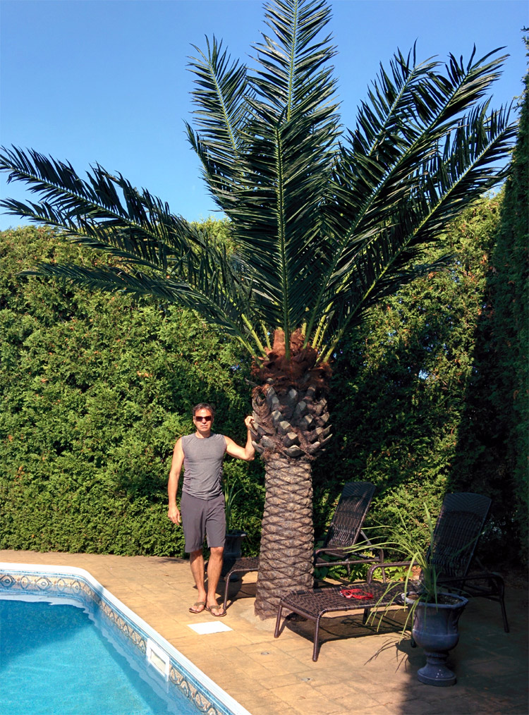 Artificial Date palm tree